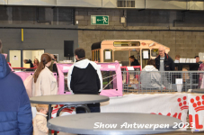 Schow Antwerpen 2023 218