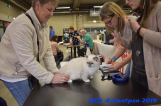 Antwerpen 2019DSC 0066