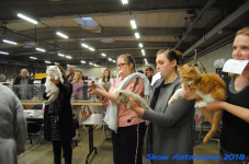antwerp 2018 0318