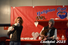 Laakdal 2023 298