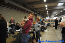 antwerp 2018 0527