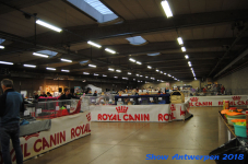 antwerp 2018 0410