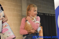 Antwerpen 2019DSC 0444