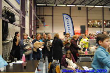 turnhout 2019-0130