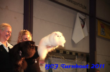 bcf antw 2010 237