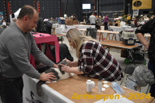 Antwerpen 105