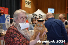 Arendonk 2024 500