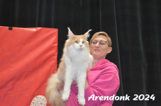 Arendonk 2024 419