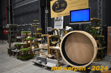 Antwerpen 069