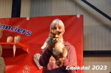 Laakdal 2023 360