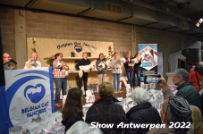 Antwerp 2022167
