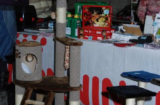 bcf antw 2010 069