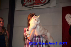 bcf antw 2010 279