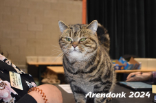 Arendonk 2024 218