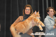Arendonk 2024 458
