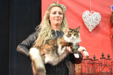 Katttenshow Arendonk 2020 DSC 0654