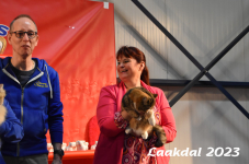 Laakdal 2023 312