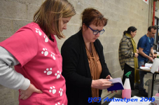Antwerpen 2019DSC 0101