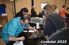 Laakdal 2023 083