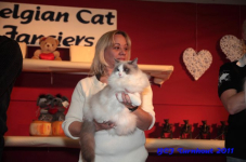 bcf antw 2010 282