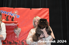 Arendonk 2024 403