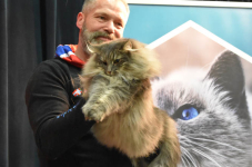 Katttenshow Arendonk 2020 DSC 0700