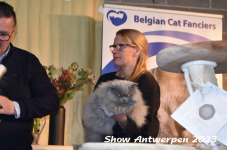 Schow Antwerpen 2023 290