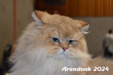 Arendonk 2024 414