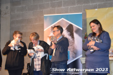 Schow Antwerpen 2023 228