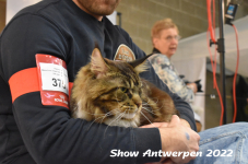 Antwerp 2022263