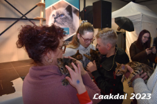 Laakdal 2023 237