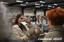 Laakdal 2023 400