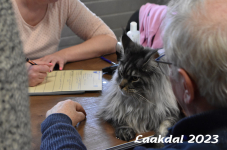 Laakdal 2023 207
