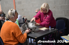 Arendonk 2024 189