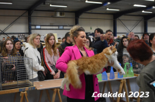 Laakdal 2023 345