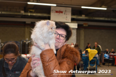 Schow Antwerpen 2023 112