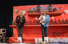 Katttenshow Arendonk 2020 DSC 0573
