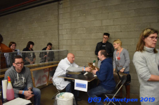 Antwerpen 2019DSC 0237