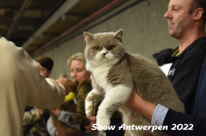 Antwerp 2022310