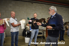Antwerp 2022162