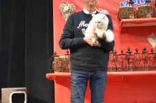 Katttenshow Arendonk 2020 DSC 0420