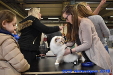 Antwerpen 2019DSC 0041