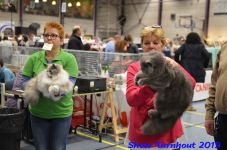 turnhout 2019-0385