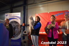 Laakdal 2023 373