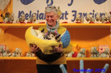 turnhout20150288