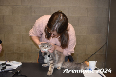 Arendonk 2024 079