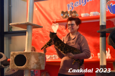Laakdal 2023 228
