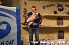Antwerp 2022269