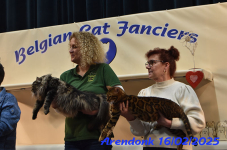 DSC 0368