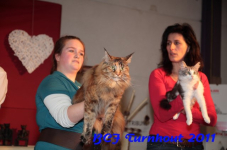 bcf antw 2010 257